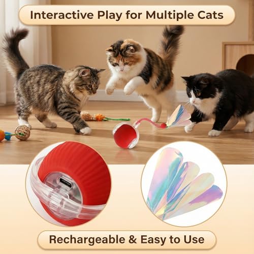 Automatic Cat Toy Ball for Indoor Cats (Red)