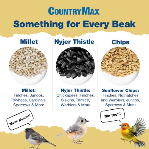 50LB White Proso Millet Bird Seed for Wild Birds & Finches (White Millet / 50 Pound (Pack of 1))