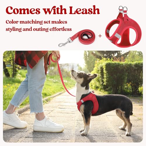 Dog Harness Medium Sized and Leash Set (Red / M (chest: 16 - 18.5"))