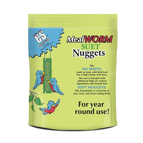 Berry Flavor Suet Nuggets (1.69 Pound (Pack of 1))
