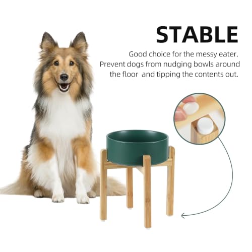 Dog Bowls Elevated (Matte Dark Green)
