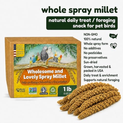 1 LB Wholesome Spray Millet for Birds (1 Pound (Pack of 1))