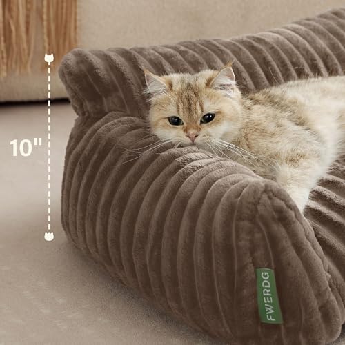 Cute Couch Bed for Pets (30.0"L x 20.0"W x 10.0"Th / Brown)