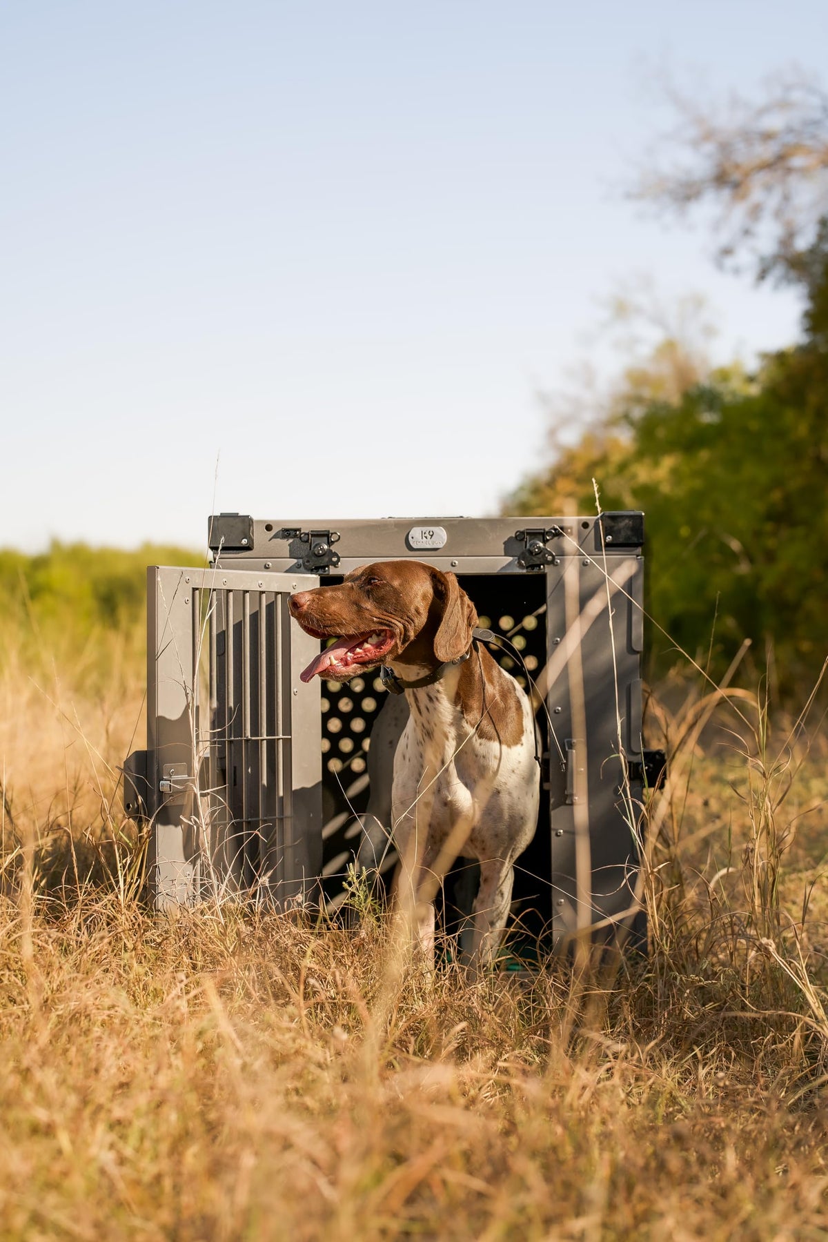 Aluminum Collapsible Dog Crate (Gray / 41.6"L x 29.7"W x 33.9"H)