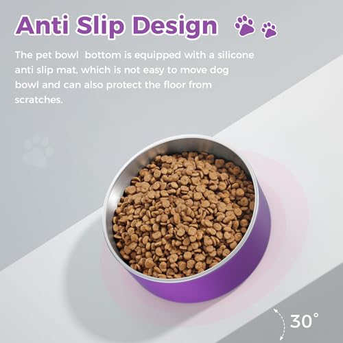 Dog Bowl Stainless Steel Food and Water Bowl (64 oz / Purple)