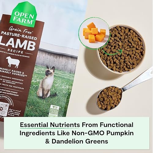 Grain Free Dry Cat Food (4 Pound (Pack of 1))