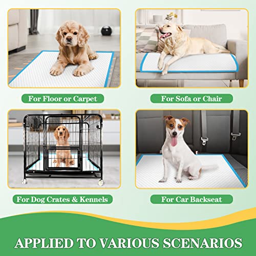Dog Pads Extra Large 30"x36" [30 (Thickened XXL: 30"x36"-30 Ct)