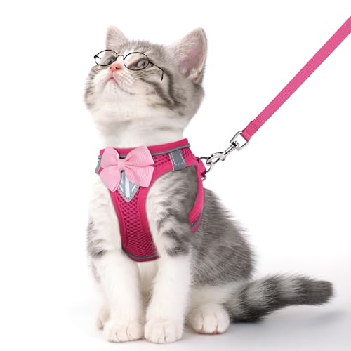 Cat Vest Harness and Leash Set (Pink / S)