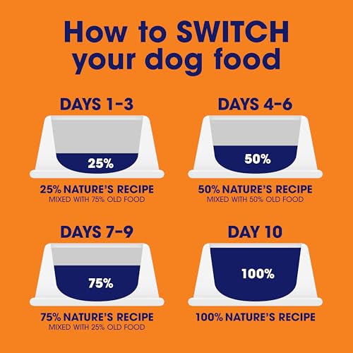Nature’s Recipe Grain Free Beef Wet Dog Food
