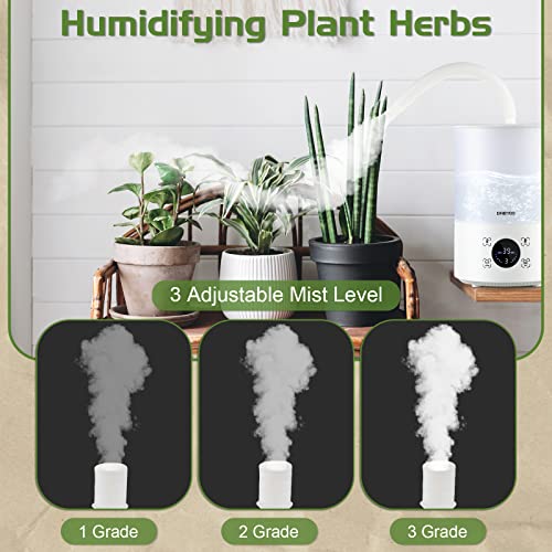 Smart Reptile Fogger Humidifiers with Humidity Control