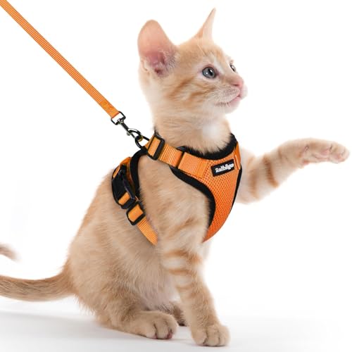 Cat Harness and Leash Set (Xxs / Orange)