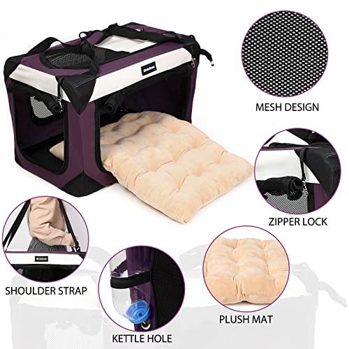 Large Cat Carrier (24.0"L x 16.0"W x 16.0"H / Purple)