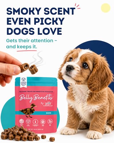 Belly Benefits Soft Dog Training Treats (10 Ounce)
