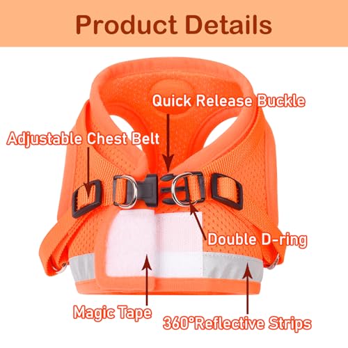 Cat Harness and Leash Set (S (Chest: 9" - 11") / Orange)