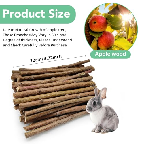 250g Natural Apple Wood Chew Sticks for Rabbits