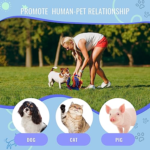 Pet Snuffle Ball (Rainbow color / 15cm)