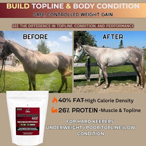 Body Builder 4000 Horse Weight Gain Fat Conditioner (11 lb)