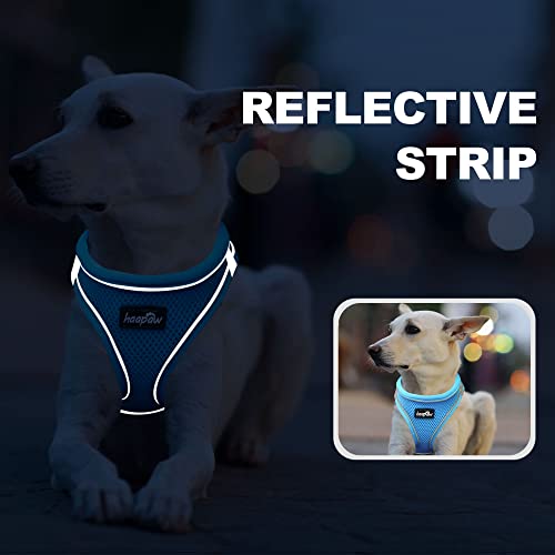 Dog Harness with Leash Set (S / Grey / Blue)