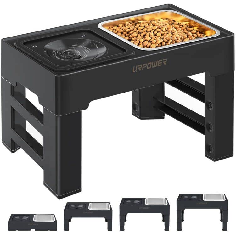 2-in-1 Elevated Dog Bowls 4 Height Adjustable Raised Dog Bowls (Black / No Spill Water Bowl)