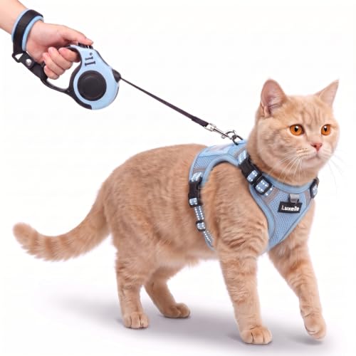 Escape Proof Cat Harness and Leash Set (Light Blue / S)