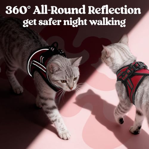Cat Harness and Leash Set (M / Red)