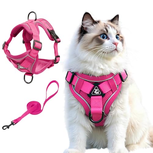 Vest Harness Leash Set for Small Dog Large Cat (Pink / XL)