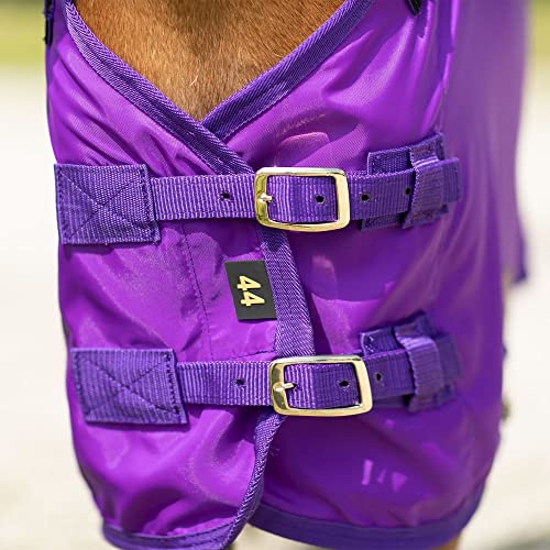 Dura Nylon Horse Stable Sheets (Horse Size 44 / V-Free | Open Front | Legstrap / Purple)