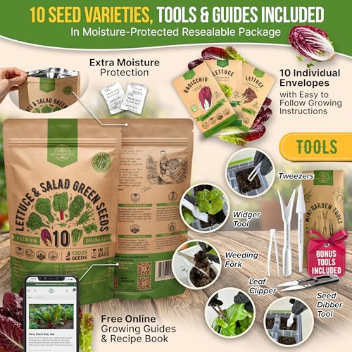 10 Lettuce & Salad Greens Seeds Variety Pack 13000+ Non