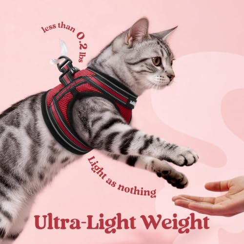 Cat Harness and Leash Set (M / Red)