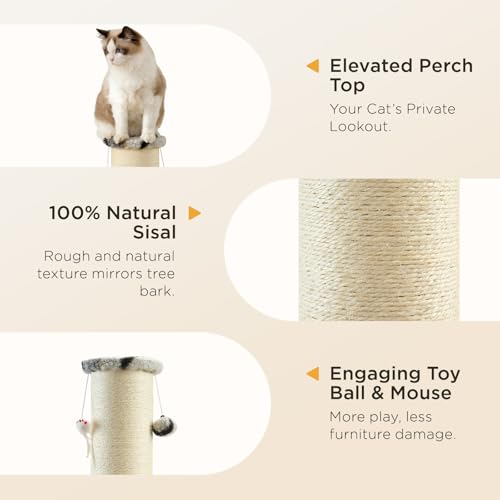 Cat Scratching Post 38 Inches Heavy Duty and Thick Scratching Post Sisal Rope with Hanging Ball and Mice for Indoor Cats (38 inch Grey)