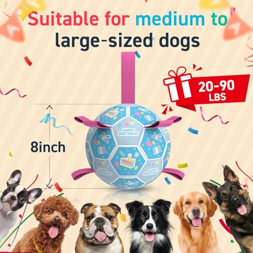 Dog Birthday Toys (Birthday Blue / Large Size 3 (8 Inch))