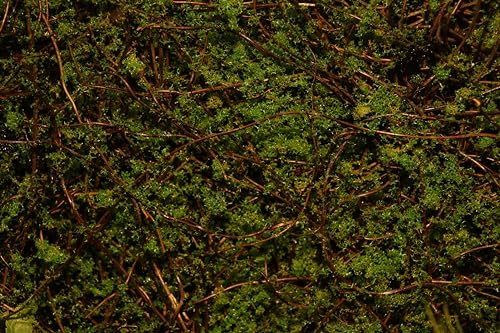 Reptile Moss Background Wall Artificial Terrarium Habitat Decor