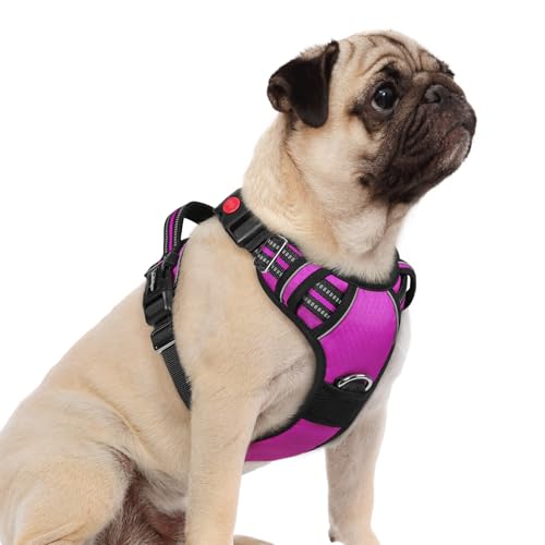Dog Harness Small Sized (Purple / Small)