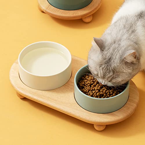 Raised Cat Bowl (Light Green)