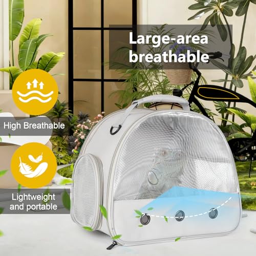 Ventilation Lizard Carrier for Bearded Dragon (Grey)