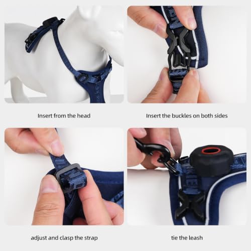 Cat Harness Leash Set with AirTag Holder (Blue for Airtag / M)