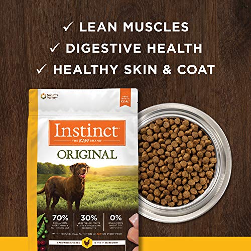 Original Dry Dog Food (4 Pound (Pack of 1))