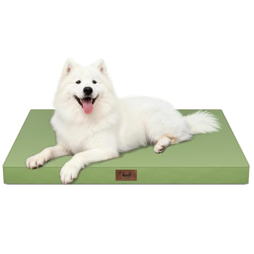 Large Waterproof Orthopedic Dog Bed with Egg Crate Foam (Light Green / 41.0"L x 27.0"W x 3.5"Th)