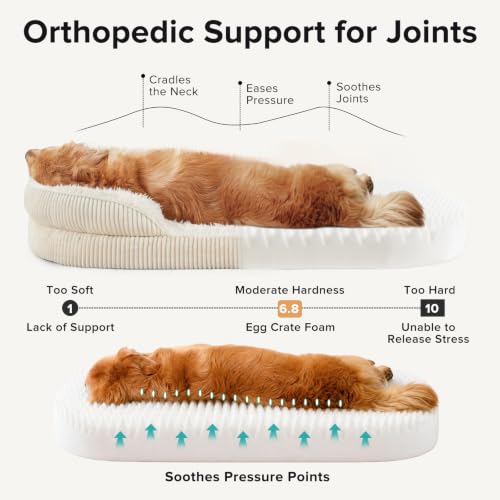 Fluffy Orthopedic Dog Bed for Large Dogs (Cream / L-PLUS (38"x 28"x 7"))