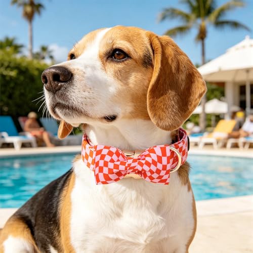 Pink Checked Dog Collars with Bow (Pink Checked / Small (Pack of 1))