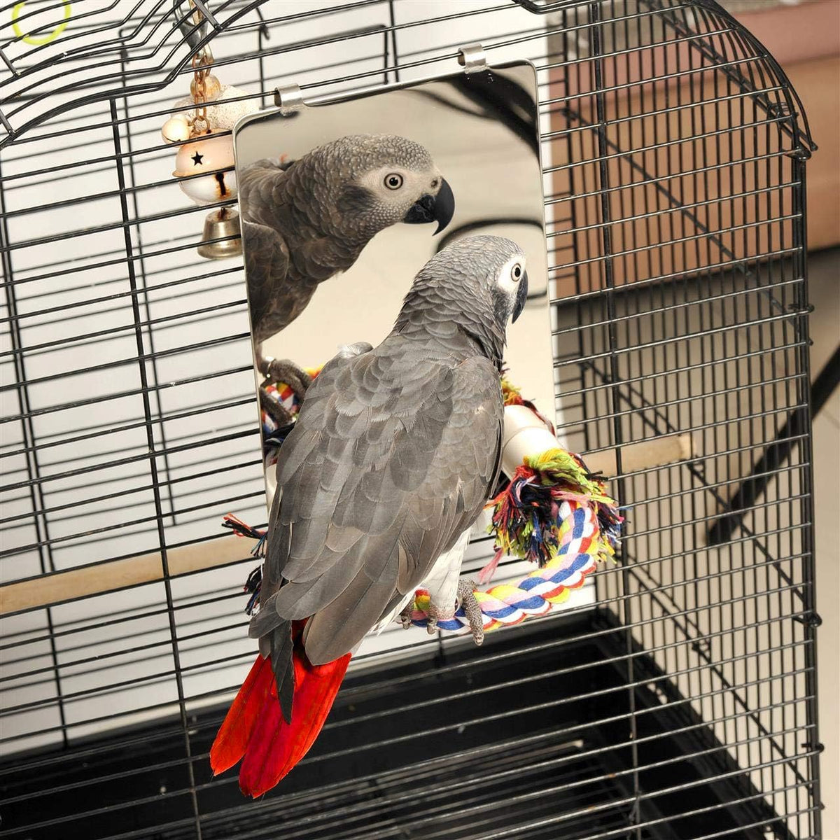 9" Bird Mirror for Cage (Large)