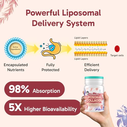 Liposomal Collagen with Undenatured Type 2 Collagen (60 Count (Pack of 1))