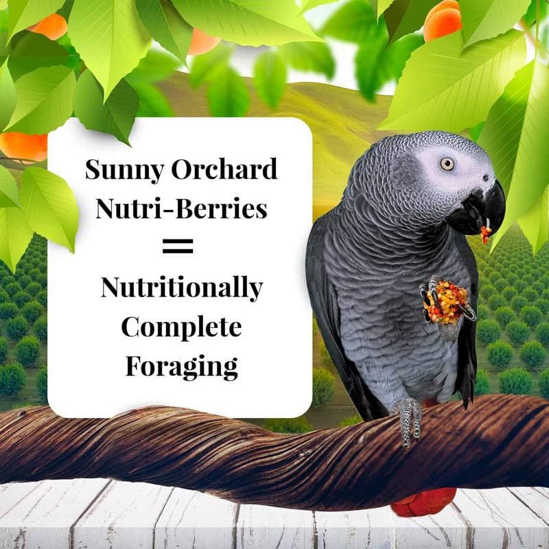 Sunny Orchard Nutri (3 Pound (Pack of 1))