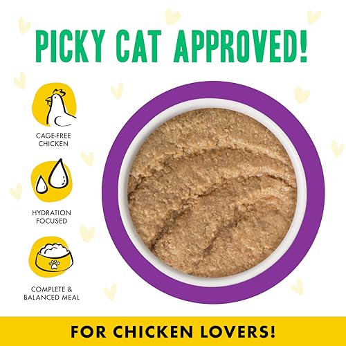 B.F.F. Play Best Feline Friend Paté Lovers (2.8 Ounce (Pack of 12))