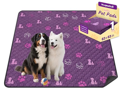 Washable Pee Pads for Dogs (Purple / 63"x63" (Pack of 1))