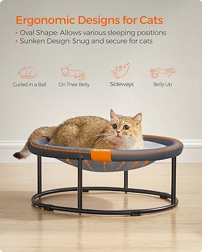 Elevated Cat Bed (20.5"L x 16.5"W x 7.9"H / 1 Tier)