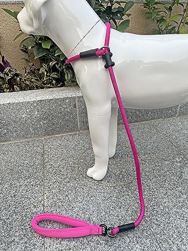 Slip Lead Dog Leash (1/2"×4ft / Fuchsia)