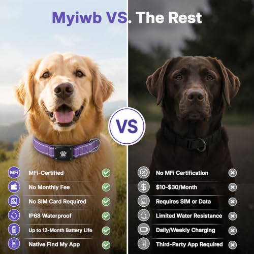 GPS Dog Collar with Tracker (Purple / XS(10.5''-13.5''))