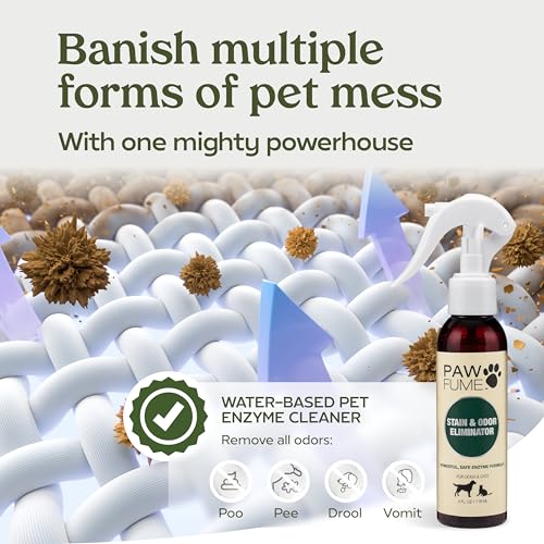 PAWFUME Stain & Pet Urine Odor Eliminator (4 Fl Oz (Pack of 1))