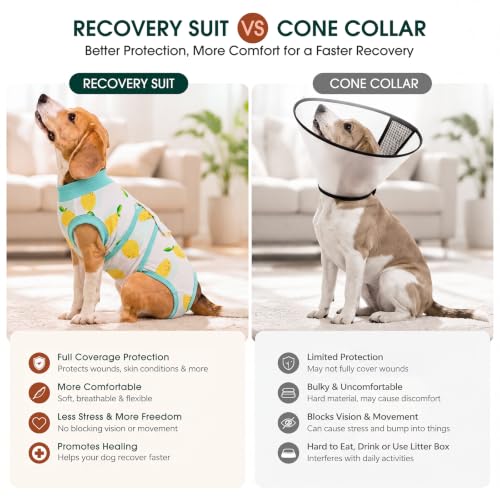 Recovery Suit for Dogs Cats (M (Back:13.4-16.1'', Weight:14-25 Lb) / Lemon Zest)